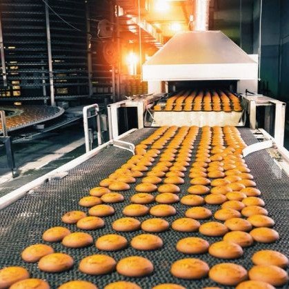 Food & Processing Industry